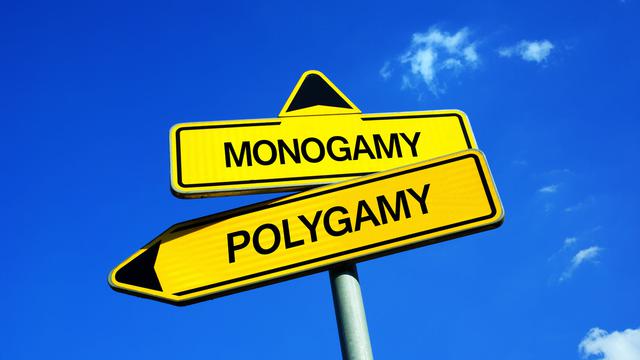 Mormonen en polygamie gaan niet hand in hand